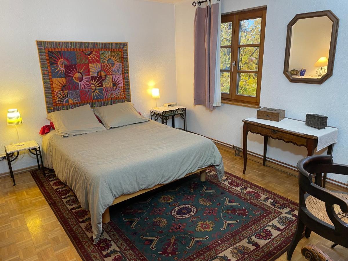 Chez Rosa Apartman Haguenau Kültér fotó